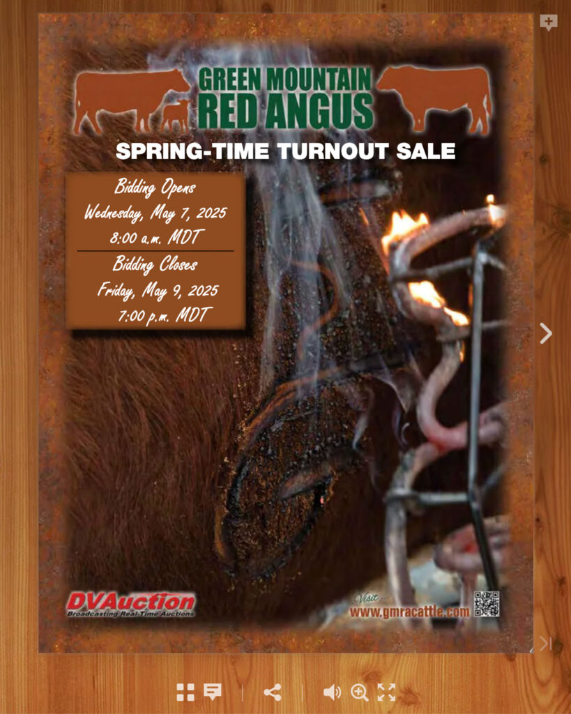 Green Mountain Red Angus Sale
