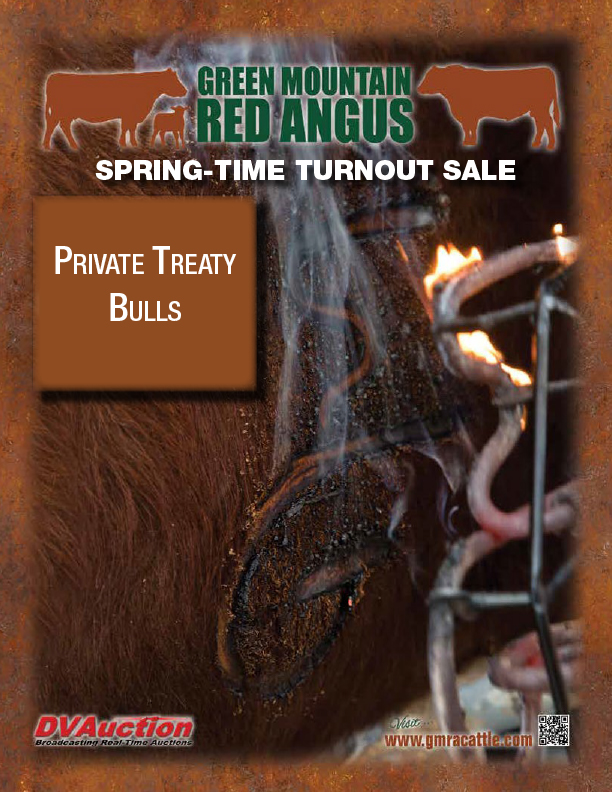 GMRA Cattle